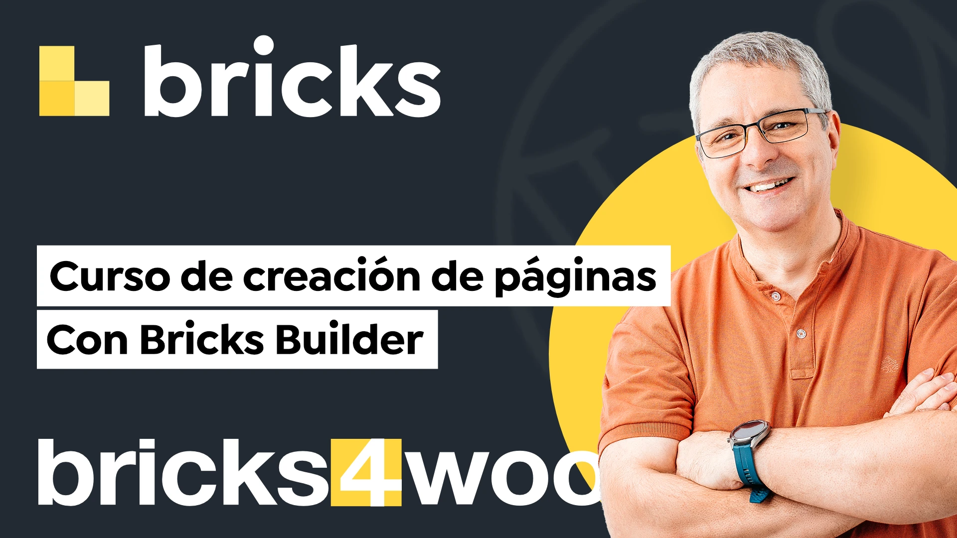 Curso de creación de paginas con Bricks Builder